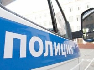 Женщину, трижды напавшую на полицейских, отдали под суд