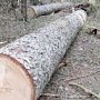 Запрет на рубку леса в Крыму отменили
