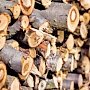 В Крыму возобновили продажу дров