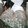 Рыболовецкие предприятия Крыма попросили изменить для них российское законодательство