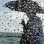 Дожди зарядят в Крыму с пятницы