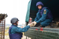 В Севастополе специалисты МЧС России обезвредили боеприпасы времен войны