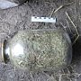 У жителя Крыма нашли пять килограммов марихуаны