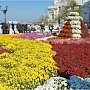 В Севастополе снова откроется «Бал хризантем»