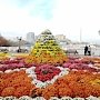 В Севастополе открылся «Бал хризантем»