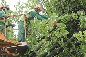 В Крыму из-за непогоды обесточены уже 14 населённых пунктов, — МЧС