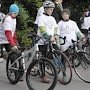 Более 200 велосипедистов приняли участие в велопробеге в Ялте