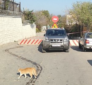 Перекрыли движение транспорта по улице Воронина