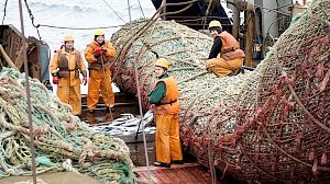 Рыболовецкую отрасль в Крыму решили подтянуть до советских показателей