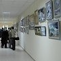 В Севастополе открылась выставка вышитых картин