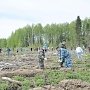 Сотрудники полиции провели мероприятия, направленные на профилактику природных пожаров