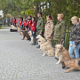 В Севастополе кинологи-волонтеры проходят аттестацию по нормативам МЧС России