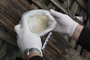 Населению Крыма предложили сообщать о торговле наркотиками