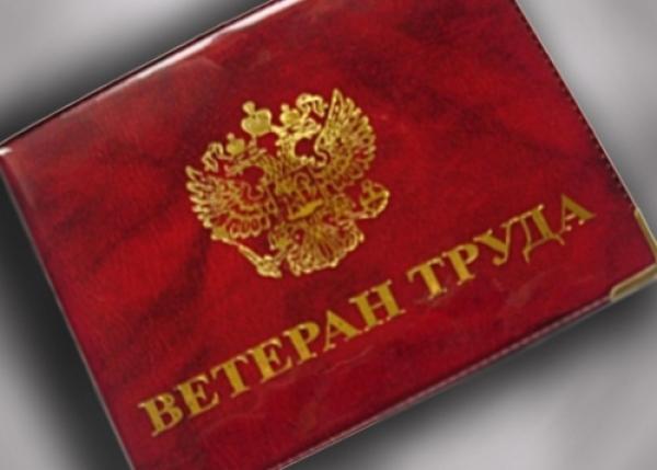«Единая Россия» отклонила поправку КПРФ к федеральному бюджету о дополнительной помощи ветеранам труда
