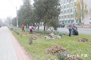 В Керчи работники исполкома вышли на субботник