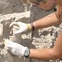 Российские археологии отправятся в Крым для исследования античного некрополя