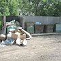 Со следующего года в Алуште решили изменить расположение площадок для сбора мусора