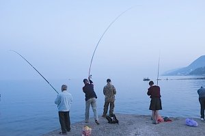 Все круглогодичные здравницы Крыма полностью заполнились отдыхающими