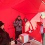 Пермский край. Комсомольцы организовали Народный референдум за восстановление сквера