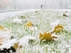 На неделе в Крыму может выпасть снег