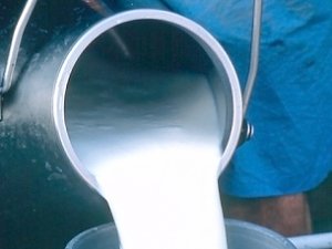 Тонны украинского молоко не пустили в Крым