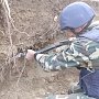 Саперы нашли в Севастополе погребенные в земле более 550 боеприпасов времен войны
