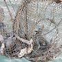 Керчанам напоминают правила рыболовства в Азово-Черноморском бассейне