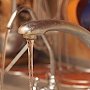 Население Феодосии призвали вдвое сократить расход воды