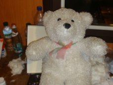 Через крымскую границу пытались провезти плюшевого медведя, набитого запрещенными лекарствами