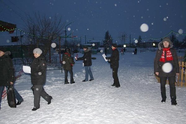 Ненецкий АО. Коммунисты провели пикет против отмены выборов глав муниципальных образований