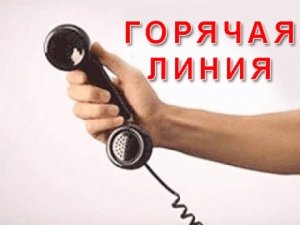 В новогодние праздники «Горячие линии» Аксенова продолжают работать