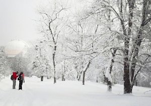 Синоптики обещают усиление морозов