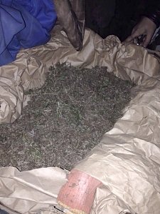 Житель Симферопольского района хранил марихуану на даче