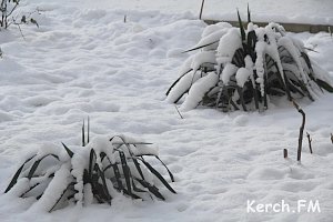 В Керчи на праздники замерзли двое бездомных