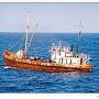 В Керчи перерегистрированные рыбаки приступили к лову хамсы