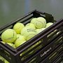 Завтра в Симферополе начинается серия теннисных турниров