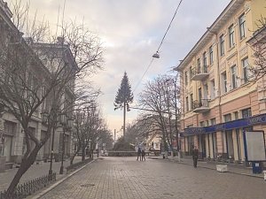 В Столице Крыма начали распиливать исполинскую елку