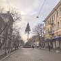 В Столице Крыма начали распиливать исполинскую елку