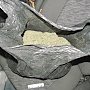 Транспортная полиция изъяла у жителя Крыма два килограмма марихуаны