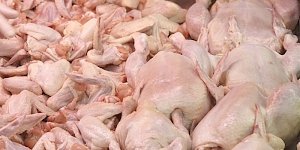 Россельхознадзор не пустил в Крым 7 тонн мяса птицы
