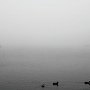 В Ночное Время на переправе в Керчи ожидается туман