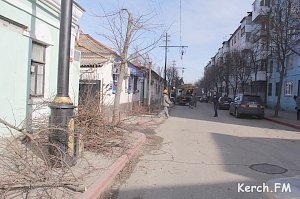 В Керчи пилят верхушки деревьев