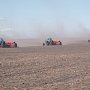 Яровыми зерновыми в Крыму засеют 77 тыс. га