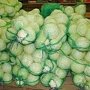 Грузопоток овощей из Украины в Крым увеличился