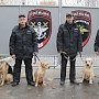 Формирование полиции в Крыму признали завершенным