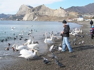 С начала года в Крыму насчитали почти 120 тыс. туристов