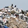 Дачников Черноморского района обязали за два месяца убрать мусор