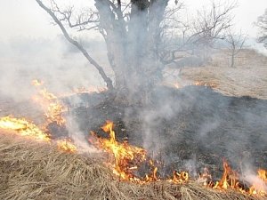 Сжигание сухой травы может привести к лесным пожарам!