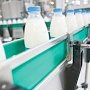 Минсельхоз республики рассматривает инвестпроект по производству молока