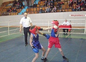 В Керчи состоялся открытый турнир по боксу, посвященный Крымской весне